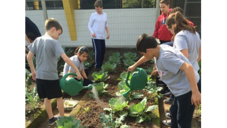 Escola Lauro Müller faz projeto de energias renováveis com apoio do Núcleo da Acib